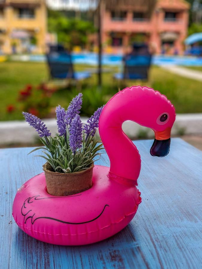 Aparthotel The Seahorse *